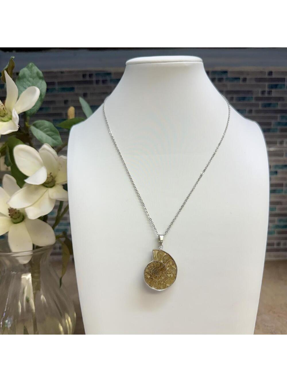 Ammonite Seashell Fossil Pendant Necklace - Picture 2 of 5